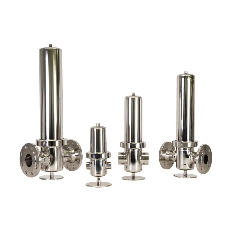 SS 316L Steam Filter Housing